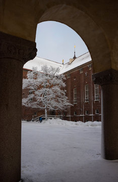 Frost tree at the Town City Hall in Stockholm a snowy wniter day