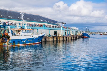 Fototapeta premium Guilvinec, retour de pêche, Finistère, France.