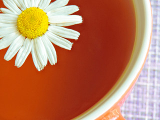 Cup of herbal tea with chamomile flowers. Healthy natural chamomile herbal.Herbal tea on a white...