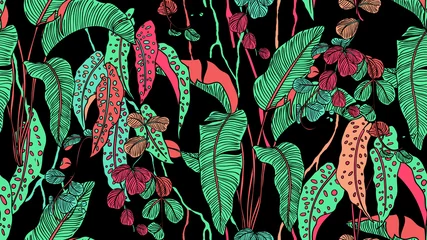 Foto op Canvas Tropical plants seamless pattern, Bird of paradise, Begonia Maculata and Hoya obovata on black background © momosama