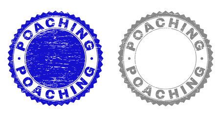 Grunge POACHING stamp seals isolated on a white background. Rosette seals with distress texture in blue and grey colors. Vector rubber stamp imprint of POACHING caption inside round rosette.
