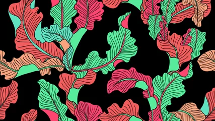 Muurstickers Tropical plants seamless pattern, Asplenium Nidus on black background © momosama