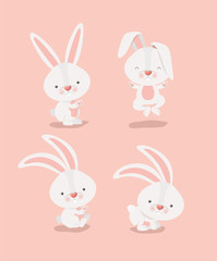 group of cute rabbits