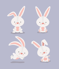 group of cute rabbits