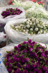 Bangkok Thailand, Pak Khlong Talat market stall with sacks of globe amaranth for sale