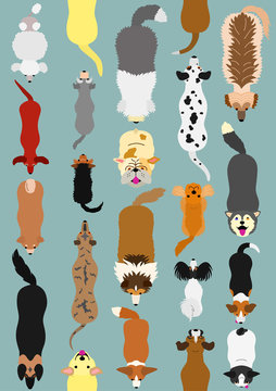 dogs seamless pattern background