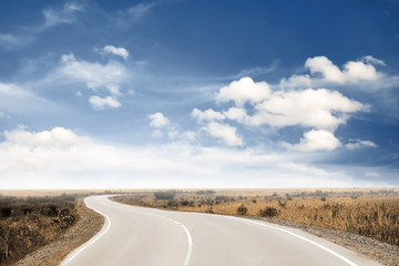 in a fields at sunset