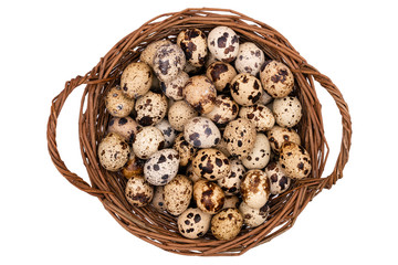 Quail eggs in the basket isolated on white background. 