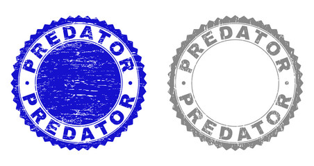 Grunge PREDATOR stamp seals isolated on a white background. Rosette seals with grunge texture in blue and grey colors. Vector rubber stamp imitation of PREDATOR title inside round rosette.