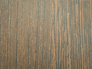 Wood texture and background