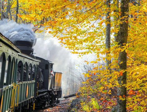 An old vintage train with thick smoke making its way through the woods in WV, with beautiful autumn colors and foliage. Shot near Cass, WV, USA.