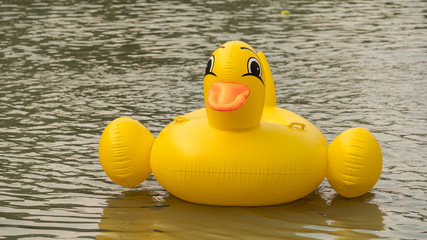 Rubber duck doll in the water