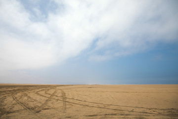 Namib Desert, Africa