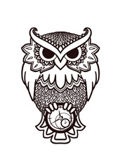 Obraz premium owl with a clock