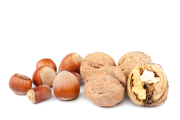 Hazelnuts and walnuts isolated on white background