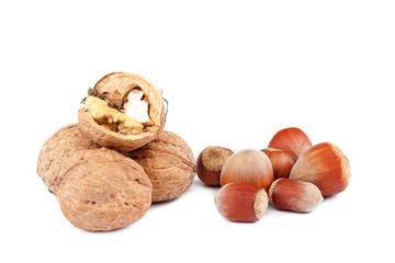 Hazelnuts and walnuts isolated on white background