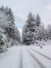 Rural Road After Snow