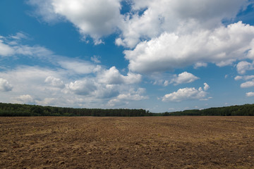Fototapeta na wymiar Land of a plowed field against a blue sky with clouds