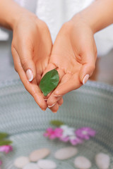 Hands of woman with natural manicure.Spa treatment and massage for female hands.Close up.Spa skin care concept. Cosmetology. Girl hands with green leaf in water above the sink with flowers.