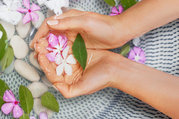 Hands of woman with natural manicure.Spa treatment and massage for female hands.Close up.Spa skin care concept. Cosmetology. Girl hands with green leaf in water above the sink with flowers.