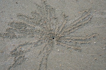 Abstract, Sand texture abstract background, Sandy beach for background, Top view, space for your text, Too soft