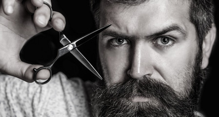 Obraz premium Barber scissors, barber shop. Brutal male, hipster with moustache. Male in barbershop, haircut, shaving. Portrait of stylish beard man, scissors. Bearded man, bearded male. Mans haircut in barber shop