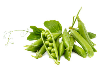 Fruits of green peas on white background.