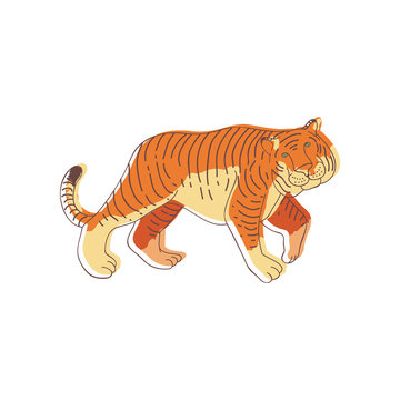 Hand drawn vector design of walking tiger, side view. Large wild cat with orange striped coat. Predatory animal
