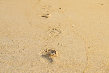 Fototapeta na wymiar Texture background Footprints of human feet on the sand near the water on the beach. Copy Space. Phuket Thailand.