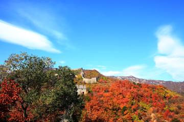 Obraz premium The Great Wall in autumn