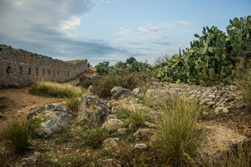European castle ruins stone wall in country side dry stone rocky with cactus natural environment  © Artem Kniaz