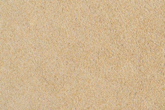 Top view of sandy beach. Sand texture. Sand background with copy space and visible sand texture. Beach Sand