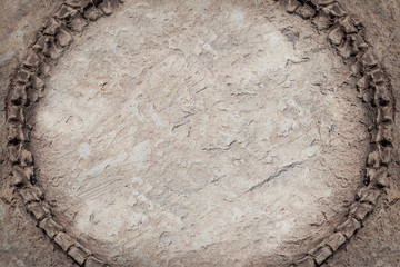 Some parts of artificial Dinosaur fossil or bone background