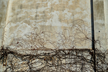 Old building wall
