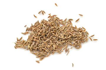 Cumin seed on white background from top view