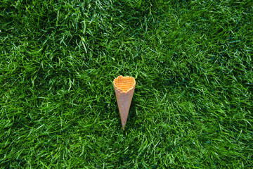 Waffle cone for ice cream fell on the lawn alone in the center of the frame