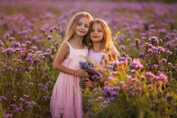 Fototapeta na wymiar Two beautiful girls with long hair in a blooming field at sunset