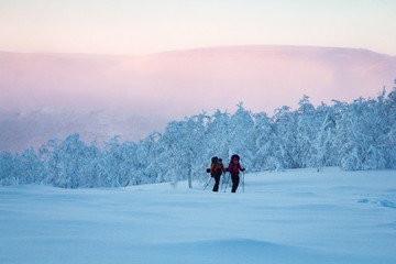 Skiing in freezing weather, in beautiful nature