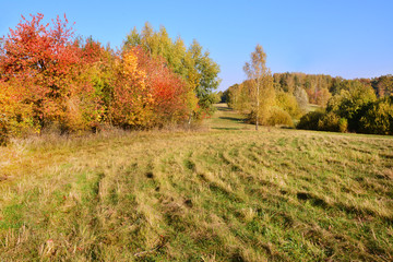 piękna jesień, pole i las