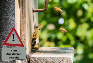 Achtungsschild Bienen vom Aussterben bedroht