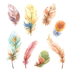 Set of hand painted watercolor feathers curved, arty, spotty, vibrant on white background