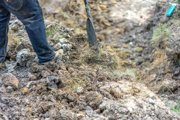 gardener digs the soil with his equipment for gardening and prepare land for plantation.