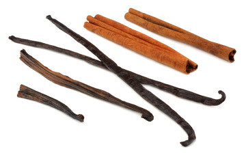 Vanilla sticks isolated on white background. vanilla bean