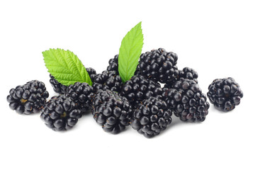 blackberries with green leaf isolated on white background. macro