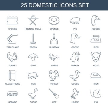 25 domestic icons