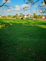 The beautiful summer landscape with a home and green garden