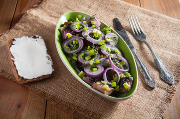 Herring fillet slices under red onions and a sandwich with rye bread and curd.