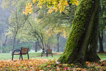 piękna jesień w parku, ławka