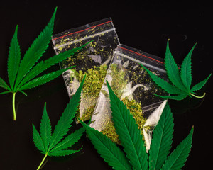Bags of marijuana and fresh cannabis leaves on a black background. Concept of legalization...