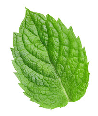 Obraz premium Fresh mint isolated Clipping Path